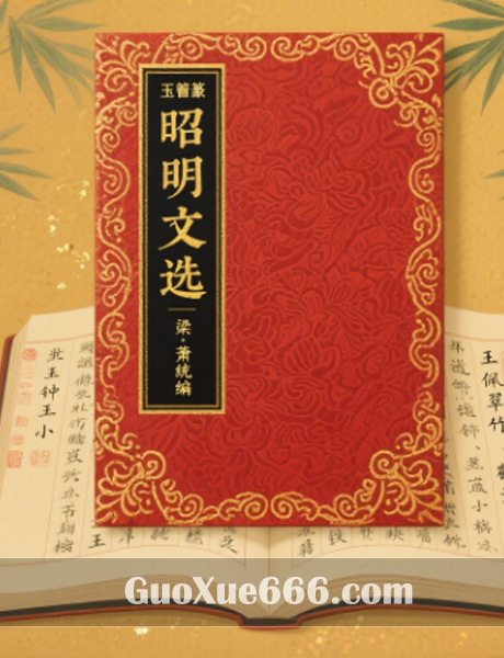 ����ѡ��