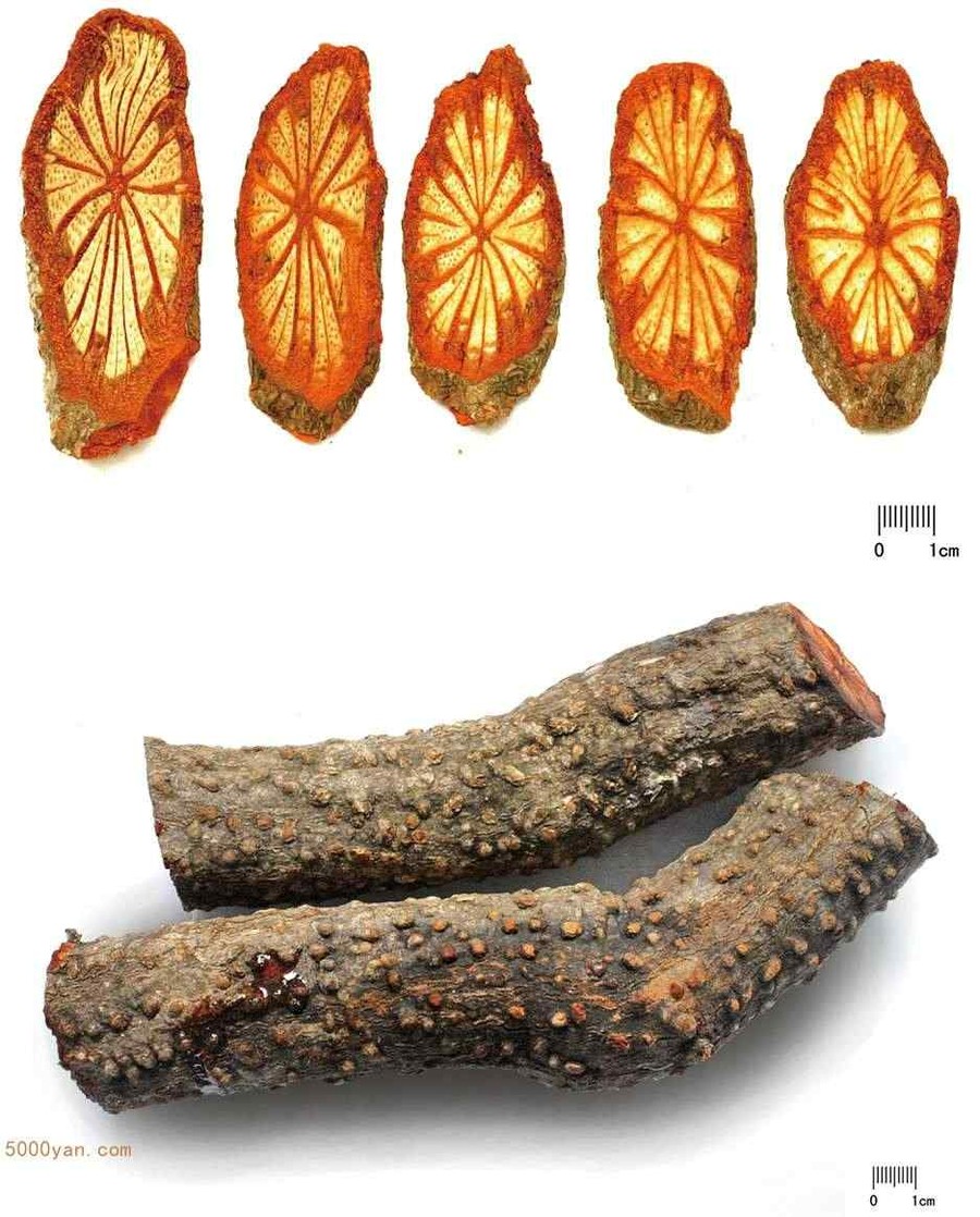 Ѫٲͼ