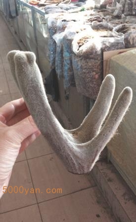 ¹ײͼ
