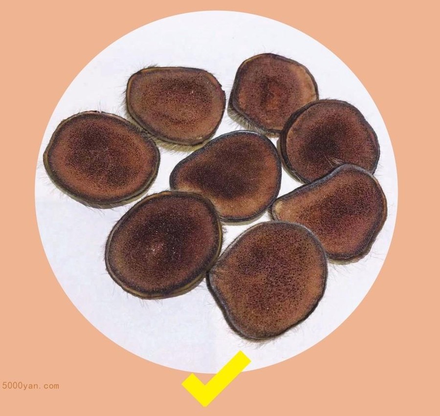 ¹ײͼ
