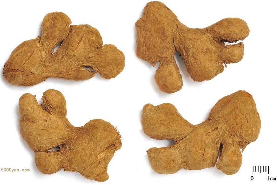 ڽͼ