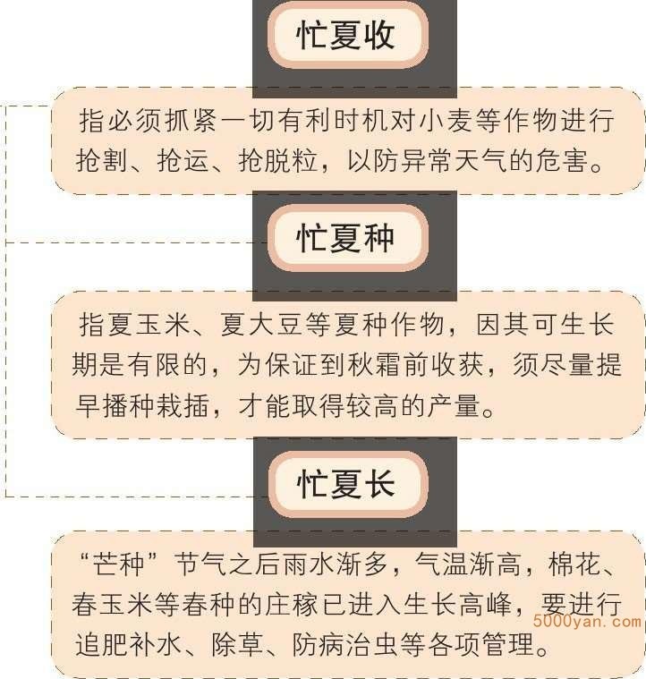 芒种气象和农事特点:天气炎热,抢收小麦,忙插秧插图