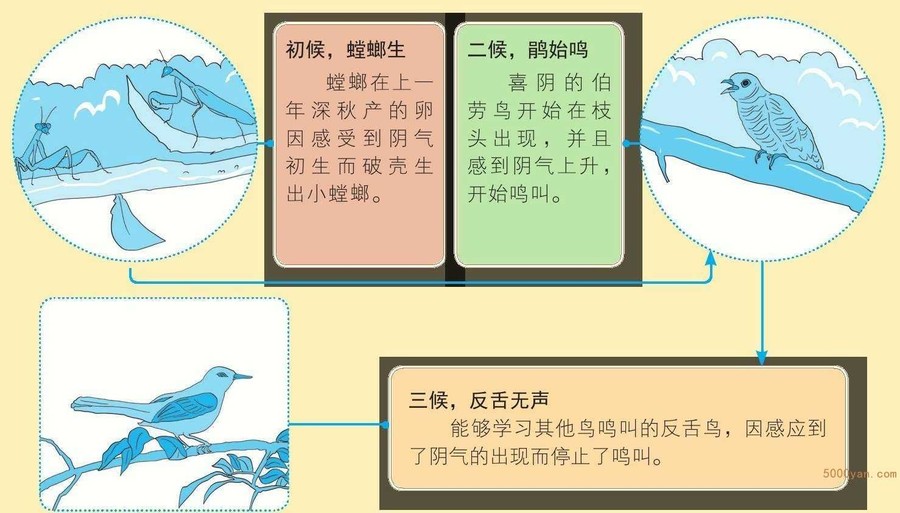 芒种气象和农事特点:天气炎热,抢收小麦,忙插秧插图