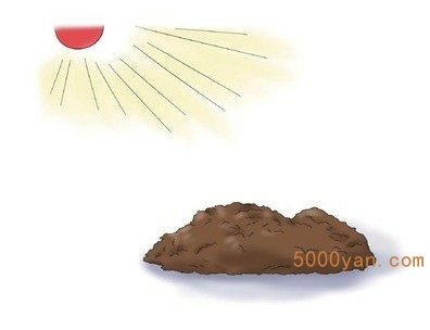 春季养花:等闲识得东风面,万紫千红总是春插图