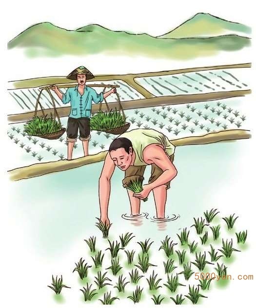 立夏气象和农事特点:炎热天气临近,农事进入繁忙期插图