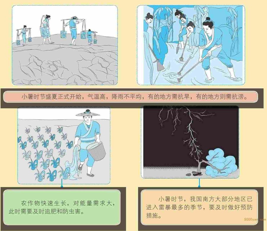 小暑气象和农事特点:极端炎热开始,农田忙于追肥、防虫害插图