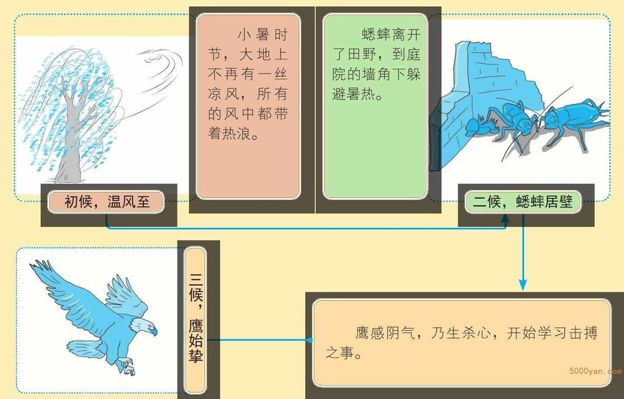 小暑气象和农事特点:极端炎热开始,农田忙于追肥、防虫害插图