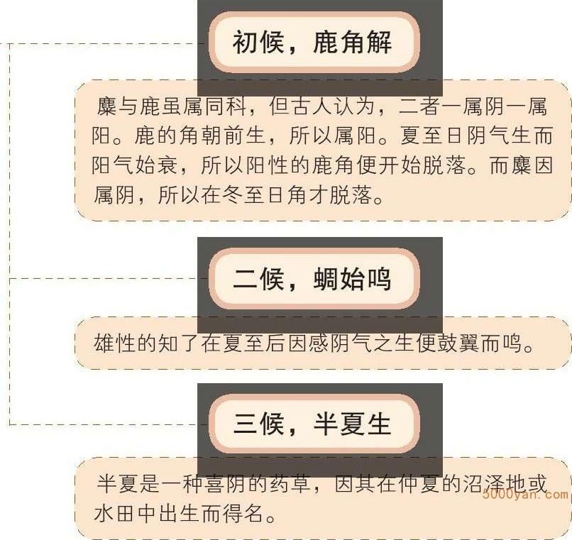 ũص㣺ȵ٣׼鿹ͼ