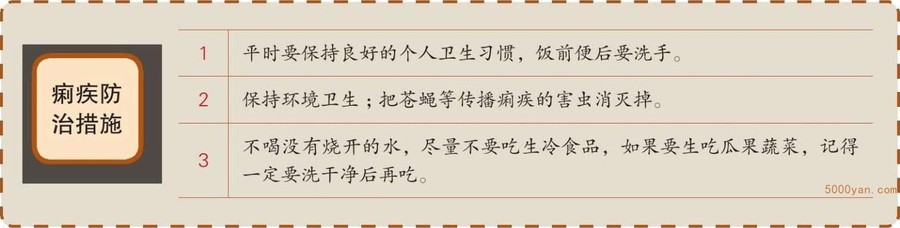夏至时节,常见病食疗防治插图