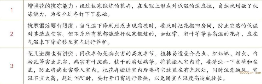 秋季养花:停车坐爱枫林晚,霜叶红于二月花插图