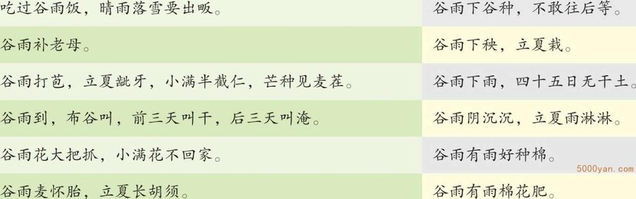 与谷雨有关的耳熟能详的谷雨前和后,安瓜又点豆;采制雨前茶,品茗解烦愁插图