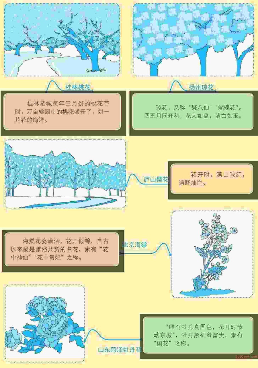 春季养花:等闲识得东风面,万紫千红总是春插图