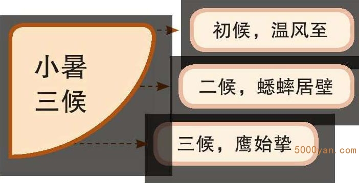 小暑气象和农事特点:极端炎热开始,农田忙于追肥、防虫害插图