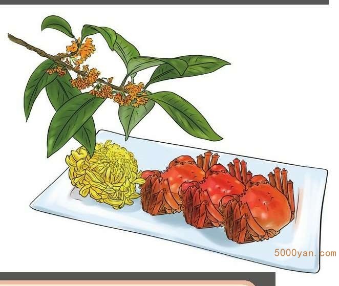 秋分饮食养生:食物多样化,保持阴阳平衡插图