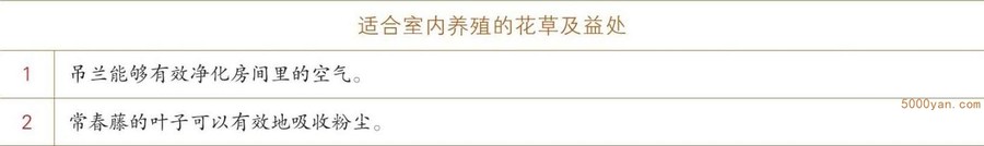 春分起居养生:杀菌、除尘插图