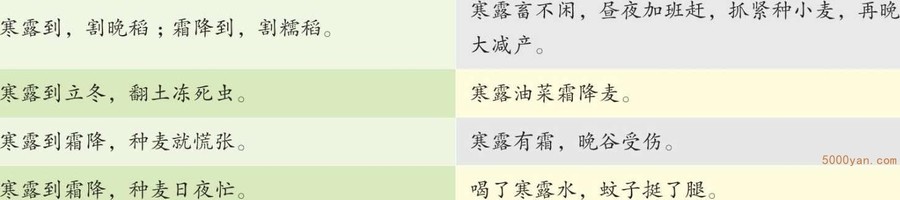 뺮¶йصĶͼ