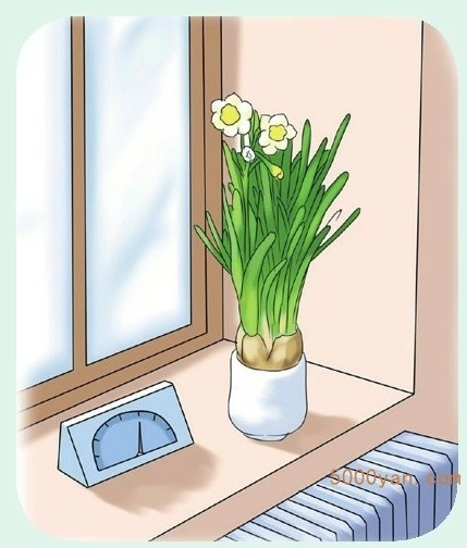 立冬起居养生:睡前温水泡脚,室内温度要提高插图