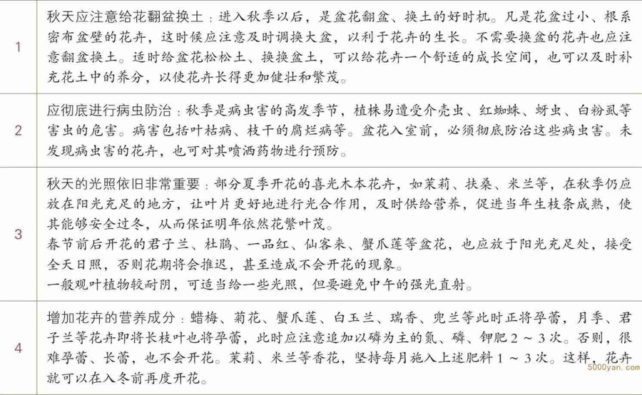 秋季养花:停车坐爱枫林晚,霜叶红于二月花插图