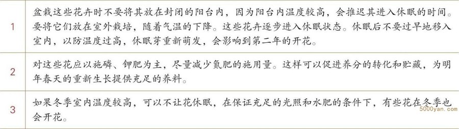 秋季养花:停车坐爱枫林晚,霜叶红于二月花插图
