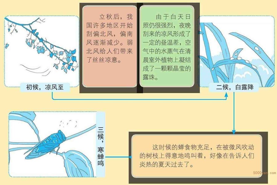 ũص㣺ˬʼջͼ