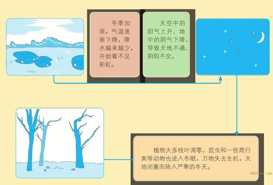 小雪气象和农事特点:开始降雪,防冻、保暖工作忙插图