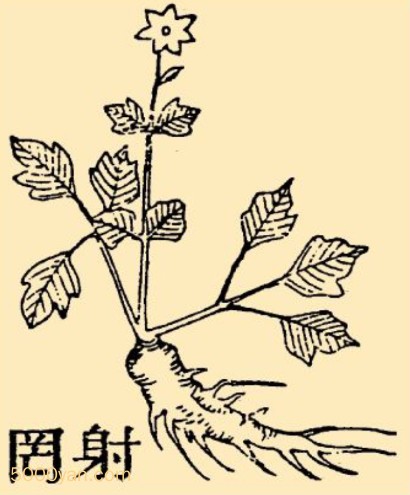 裨wngͼ