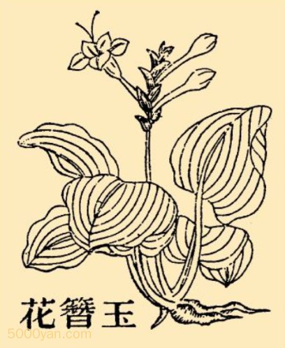 znͼ