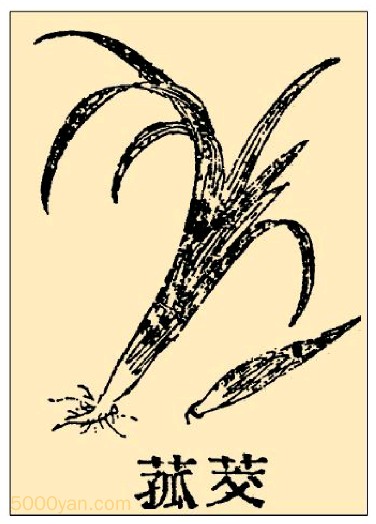 Բͼ