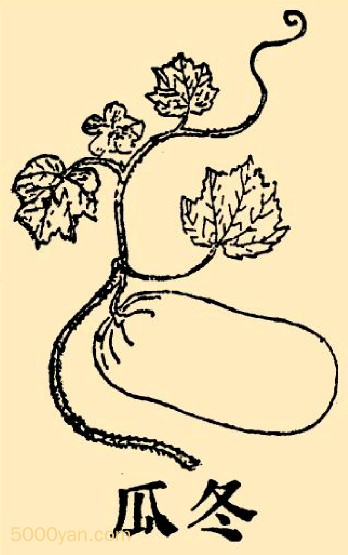 ϲͼ