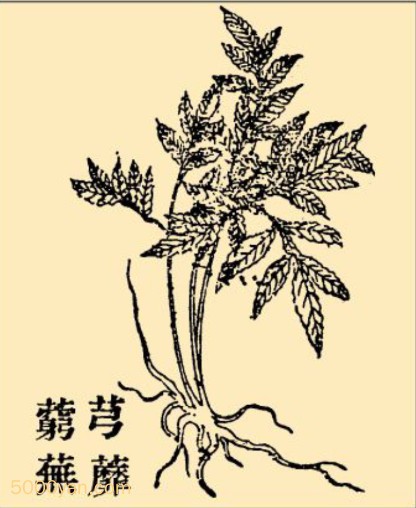ܺ˕xing qingܺͼ