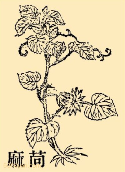 ܣqngͼ