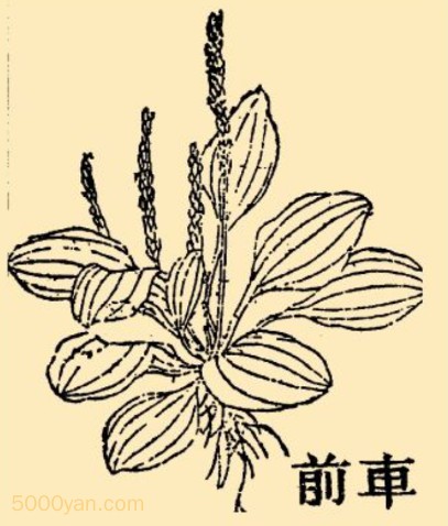 ǰͼ