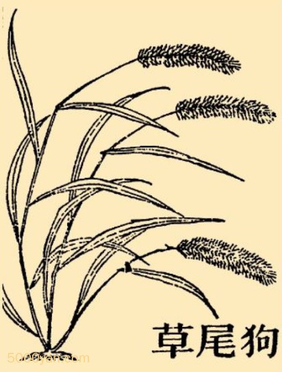 βݲͼ
