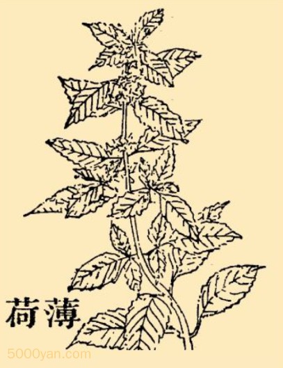 ɲͼ