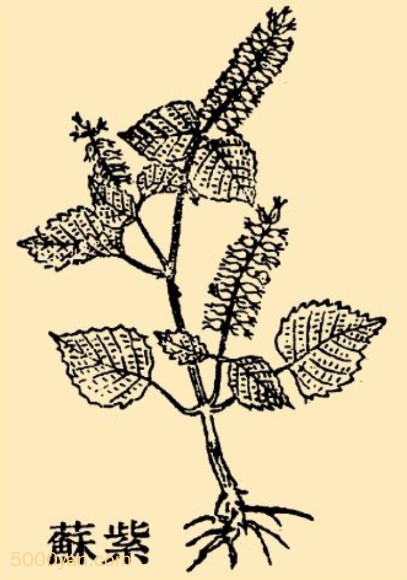 ղͼ