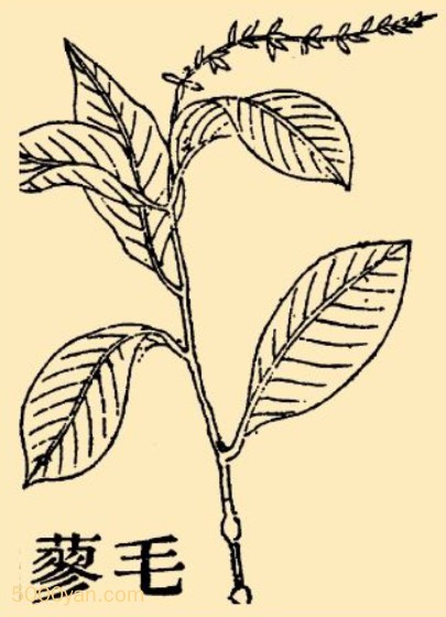 ëޤͼ
