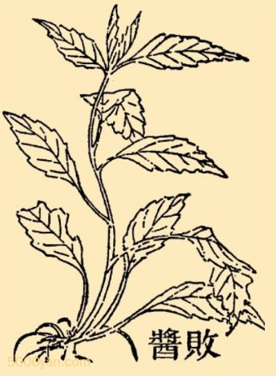 ܽͼ