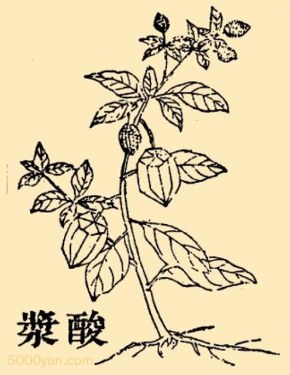 Ὤͼ