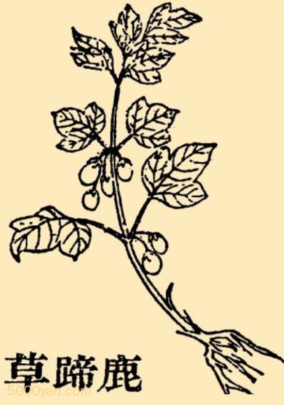 ¹ݲͼ