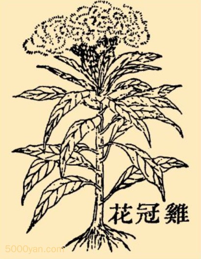ڲͼ