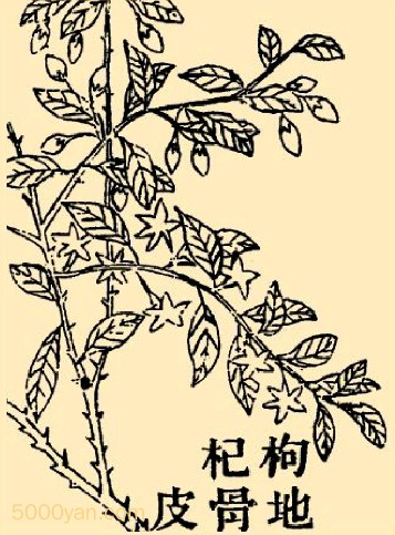轡عƤͼ