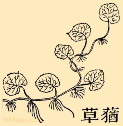 ݵyuݲͼ