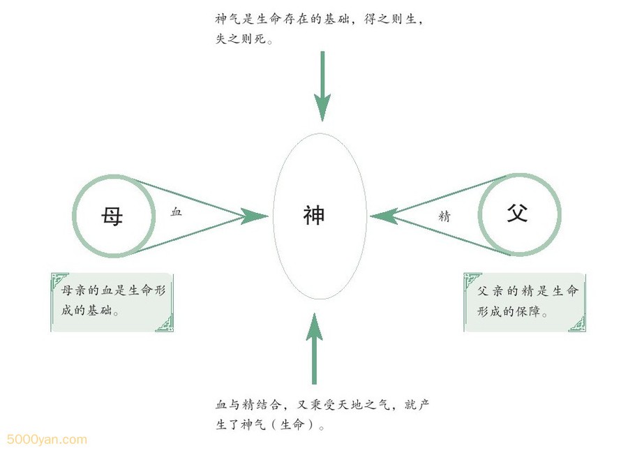 ���ھ����������Ľ��Ͳ�ͼ