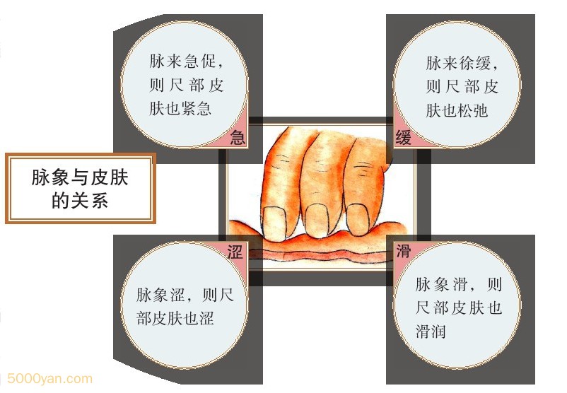 ֱ仯ͼ