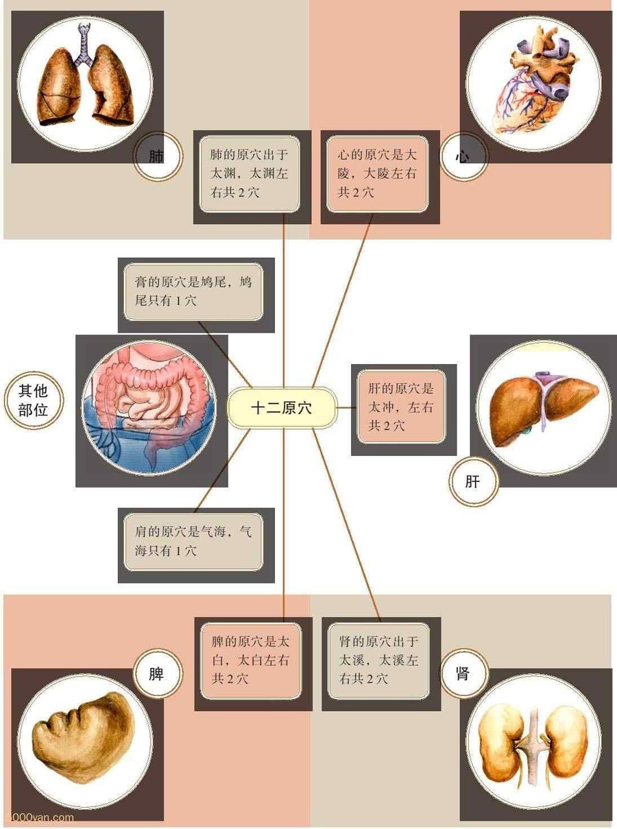 ʮԭѨͼ