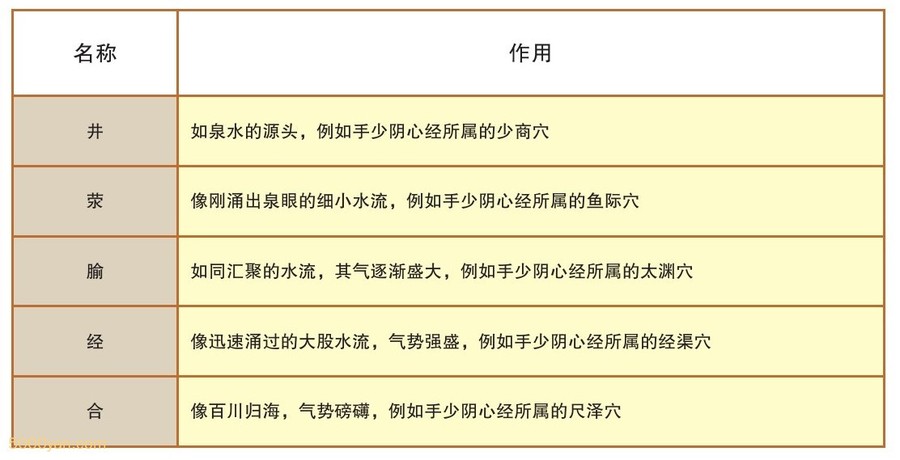 �����Ѩ����ͼ