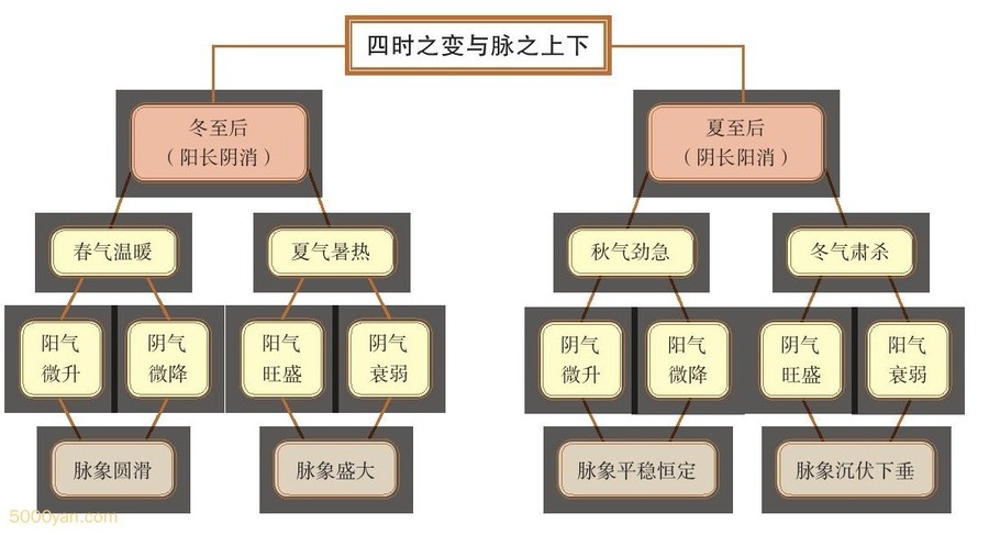 仯ϵıֲͼ