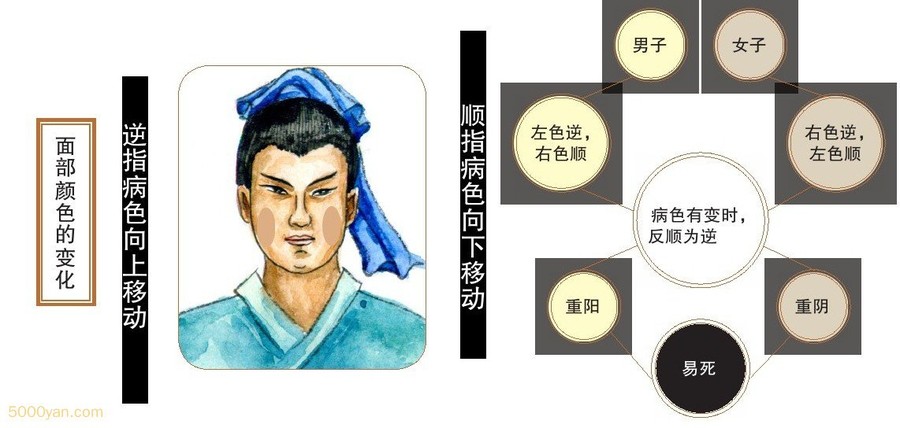 뼲ͼ
