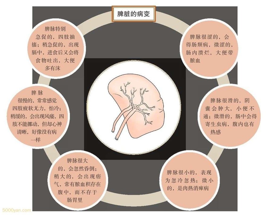 ֱ仯ͼ