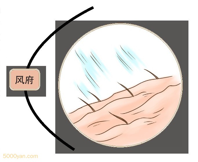 űʱԲͼ